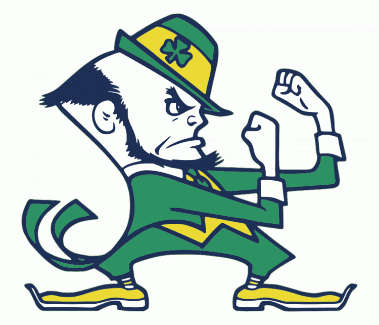 Notre Dame Fighting Irish 1984-Pres Alternate Logo diy DTF decal sticker